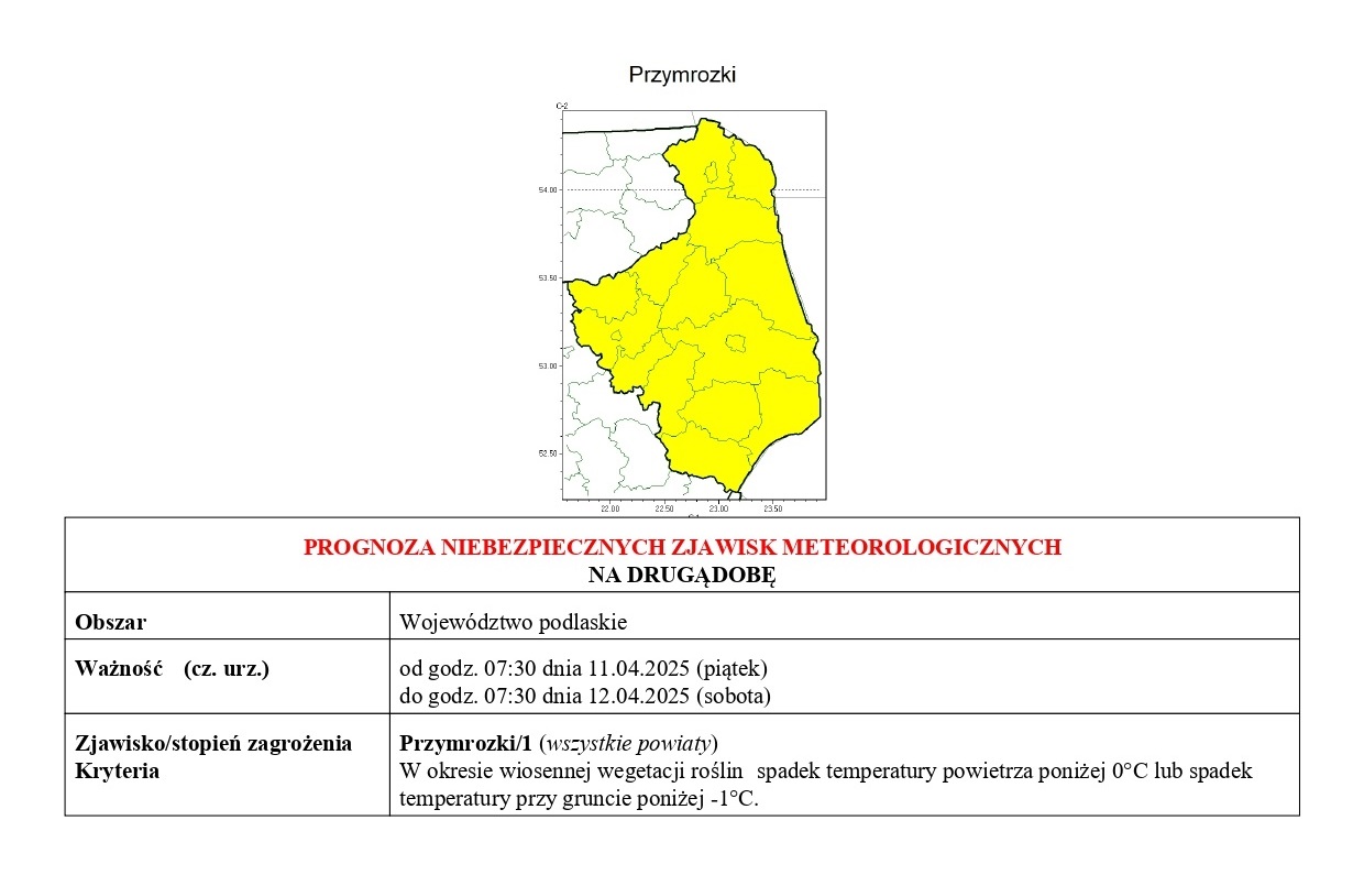 PDPN page 0002