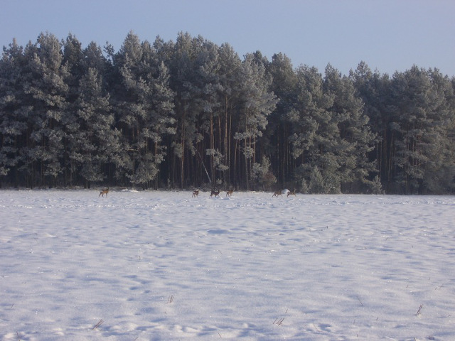 Walory przyrodnicze