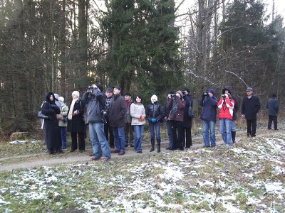 Konsultacje dotyczące ochrony żubra