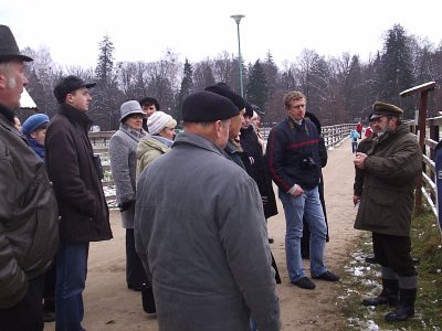 Konsultacje dotyczące ochrony żubra