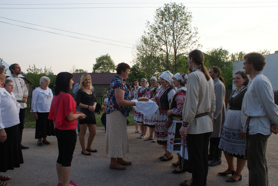 Śpiewanie ohulek nad Narwią