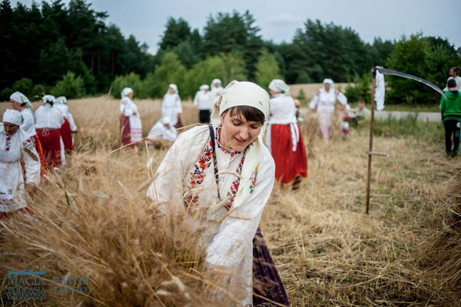 Zażynki w Gminie Narew