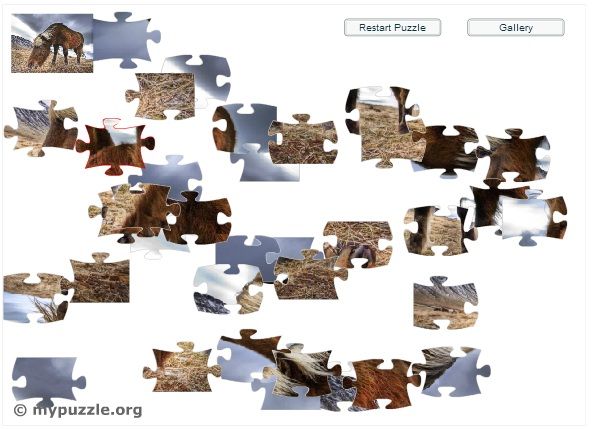 ukladanka puzzle