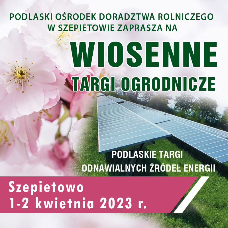 kwadrat wiosna23 002