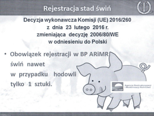 pomor swin rejestracja stada