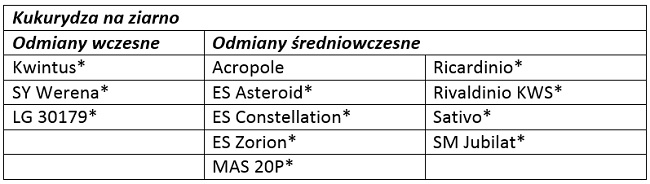 odmiany 5