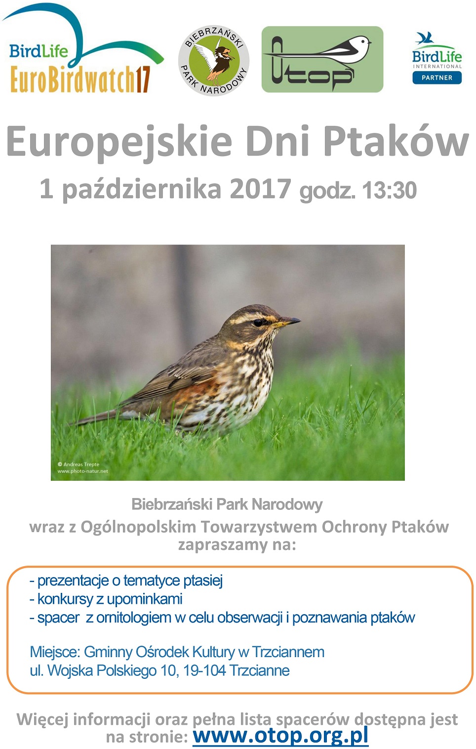 dni ptakow