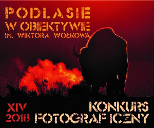 pwo banner