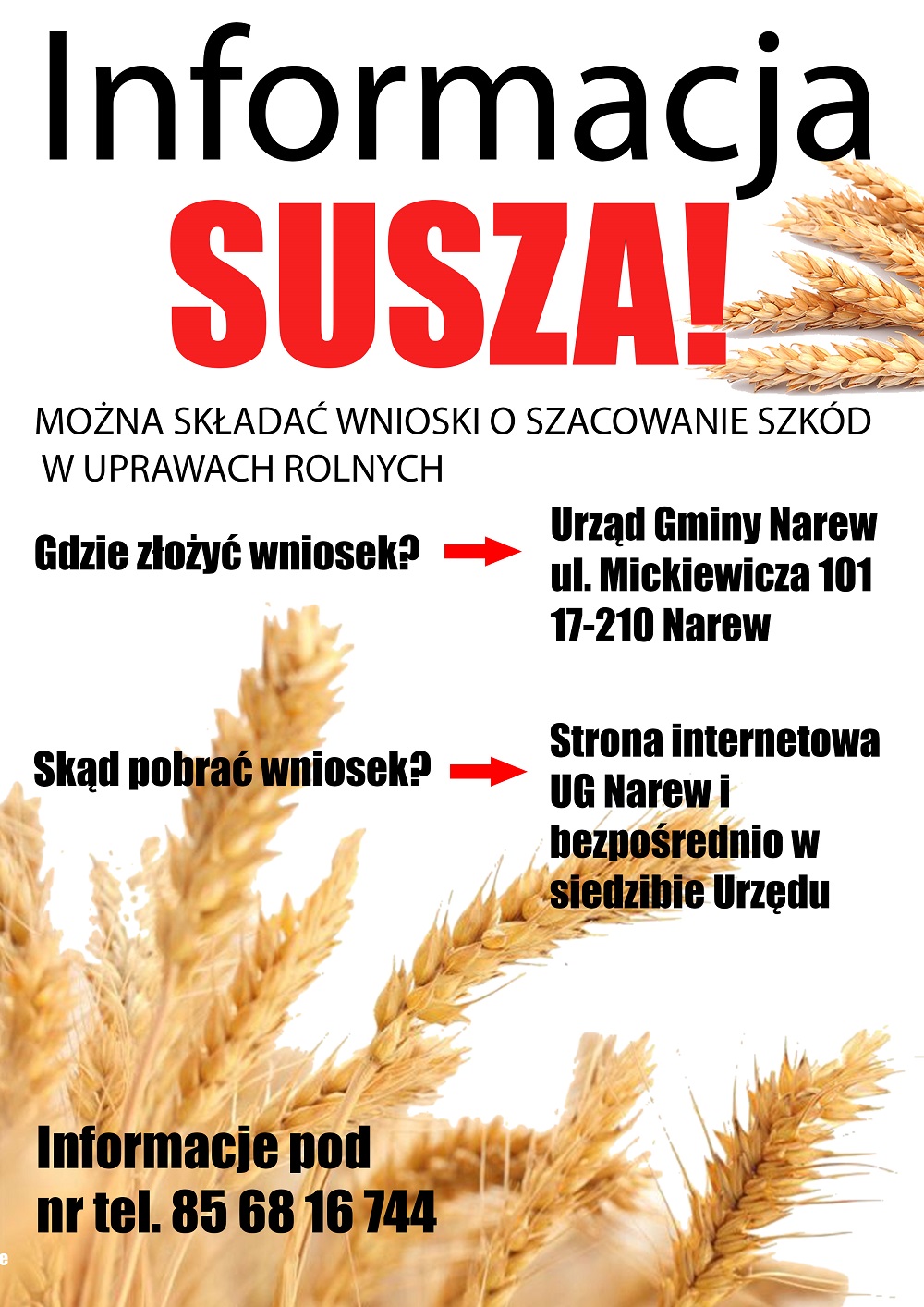 susza info